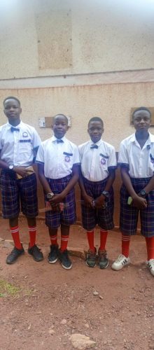 IMG_20241106_080307_554 - Copy