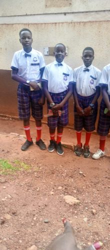 IMG_20241106_080322_085 - Copy