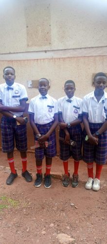 IMG_20241106_080338_409 - Copy