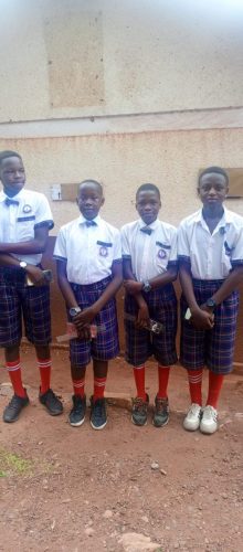 IMG_20241106_080340_335 - Copy