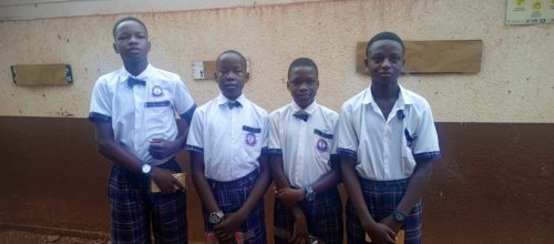 IMG_20241106_080351_411 - Copy