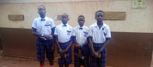 IMG_20241106_080403_137 - Copy