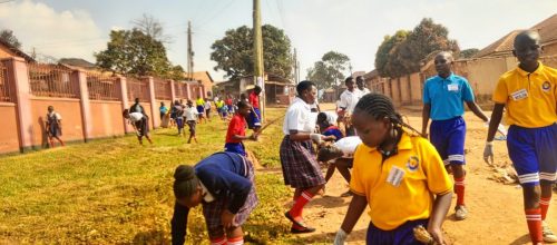 IMG_20250730_100235_924 - Copy